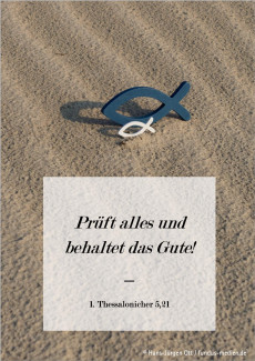 Zwei Fische im Meeressand